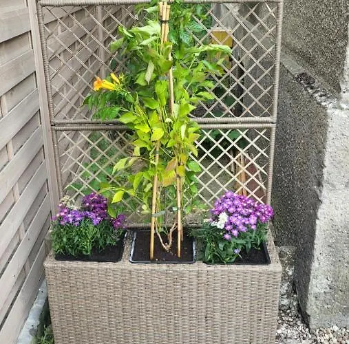 Studiospanie Magnolia Z Tarasem 2 Sypialnie Apartamento *