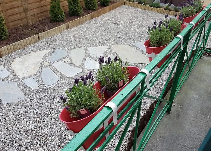 Studiospanie Magnolia Z Tarasem 2 Sypialnie * סופוט